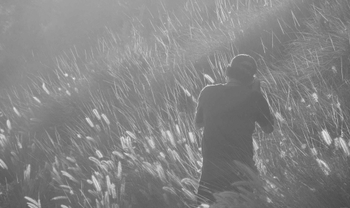 man taking photo on grass field in greyscale photography